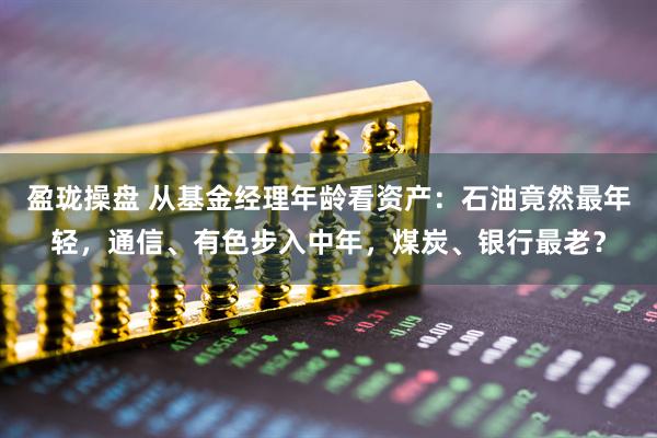 盈珑操盘 从基金经理年龄看资产：石油竟然最年轻，通信、有色步入中年，煤炭、银行最老？