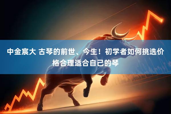 中金宸大 古琴的前世、今生！初学者如何挑选价格合理适合自己的琴