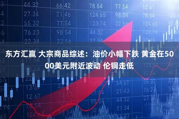 东方汇赢 大宗商品综述：油价小幅下跌 黄金在5000美元附近波动 伦铜走低